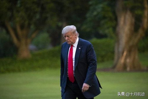 特朗普积极回应马斯克道歉，展现领袖风范的和谐共处