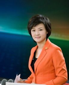 郑新宇崭露头角，成为央视新晋主播