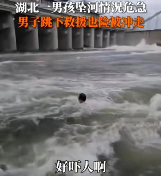 男孩树下安睡，悲剧之下的命运瞬间——被坠毁客机砸中烧死的惨烈事件