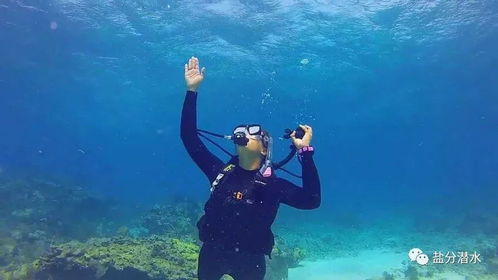 金雪峰圣龙潭潜水意外去世，多方紧急回应