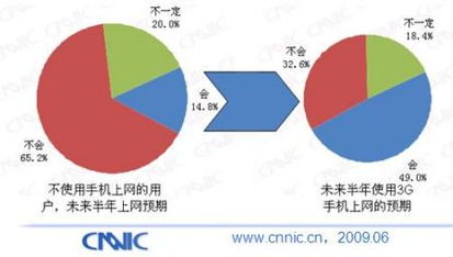 荔枝价格暴跌七成，市场影响与原因分析