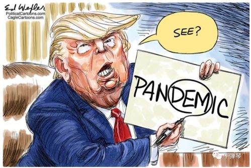 特朗普的决策之路，牛弹琴般的反复无常